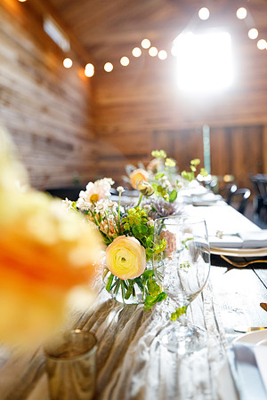 sara_kauss_photography_2303