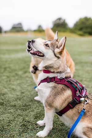 sara_kauss_photography_4432