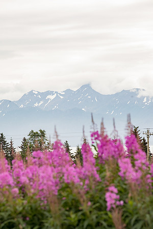 sara_kauss_photography_4971