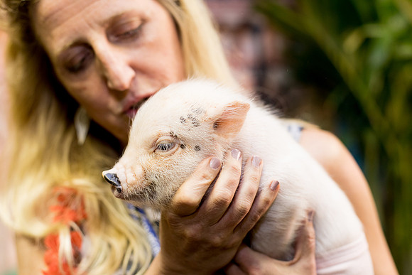 sara-kauss-photography-4618