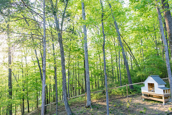 sara-kauss-photography-8772