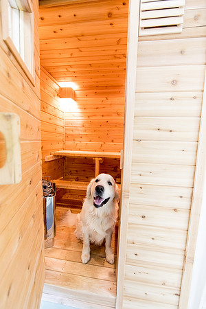 sara-kauss-photography-7231