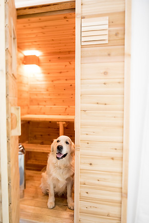 sara-kauss-photography-7252