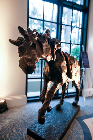 0050_sara_kauss_photography_NTRA2025_0972