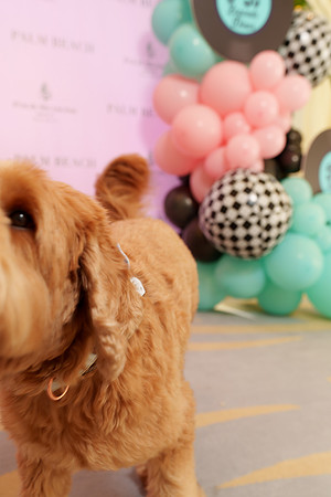 sara_kauss_photography_02865