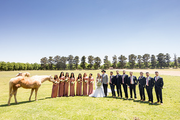 sara-kauss-photography-3064