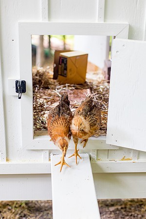 sara-kauss-photography-9765