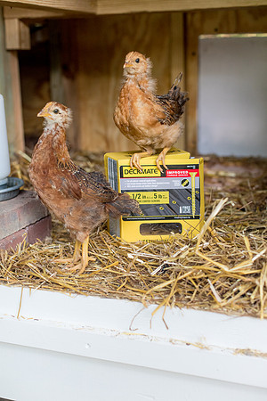 sara-kauss-photography-9753