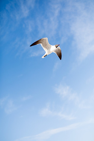 sara_kauss_photography_3077