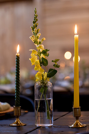 sara_kauss_photography_7126