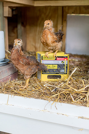 sara-kauss-photography-9754