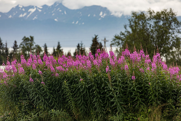 sara_kauss_photography_4957