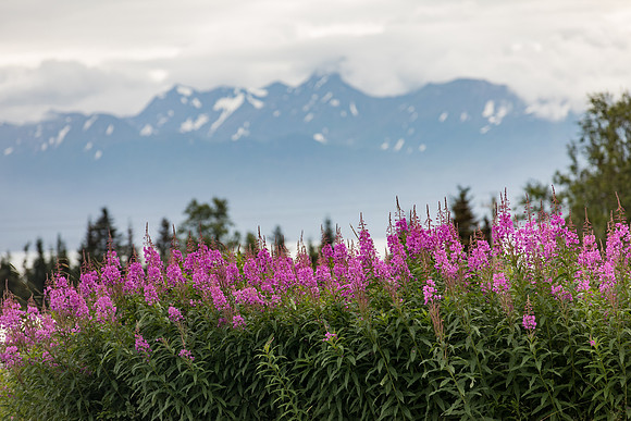 sara_kauss_photography_4959