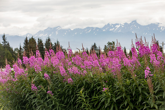 sara_kauss_photography_4969