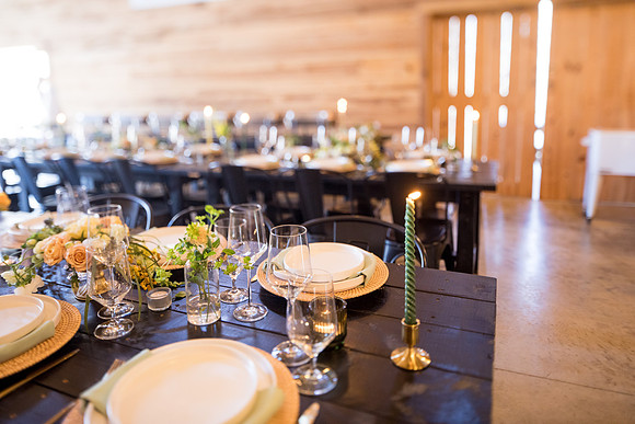 sara_kauss_photography_7029