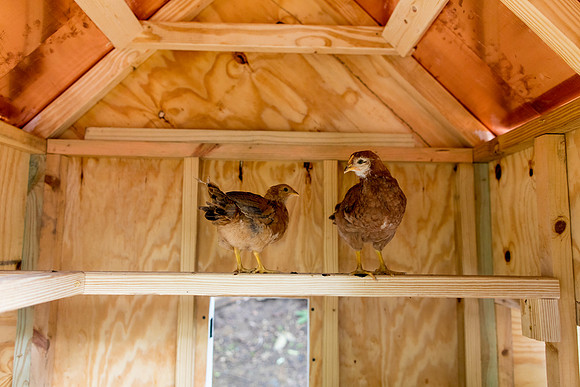 sara_kauss_photography_0064