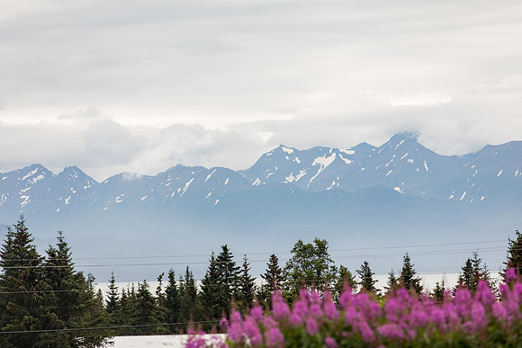 sara_kauss_photography_4951