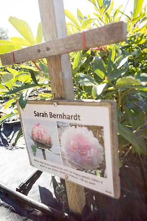 sara_kauss_photography_8314