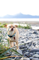 sara_kauss_photography_1719