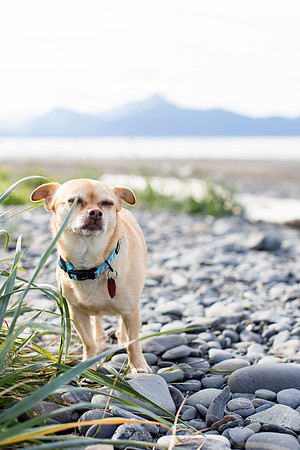 sara_kauss_photography_1719