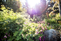 sara_kauss_photography_7922