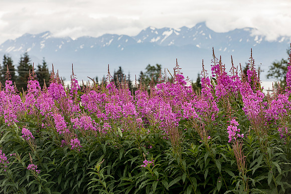 sara_kauss_photography_4965