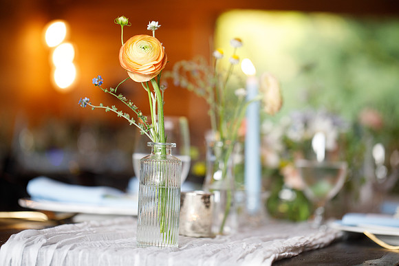 sara_kauss_photography_2814