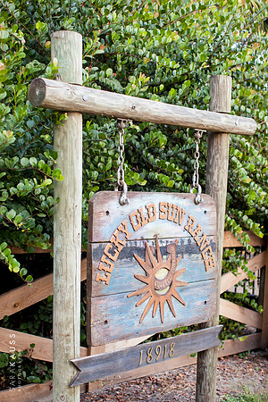 0201-sara-kauss-photography-3679