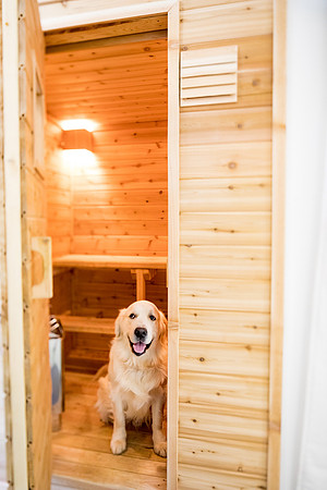 sara-kauss-photography-7248