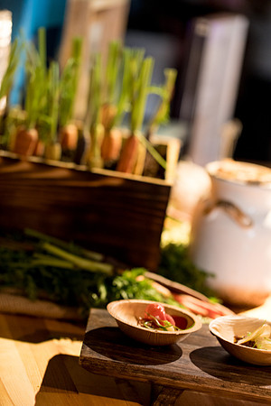 sara_kauss_photography_9041_Best_Texas_LR