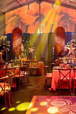 sara-kauss-photography-5115