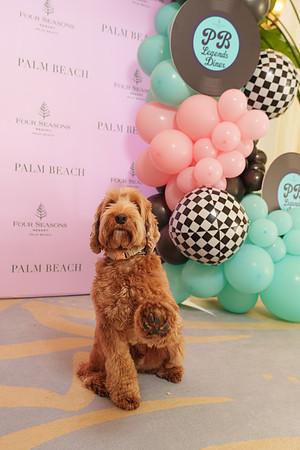 sara_kauss_photography_02862