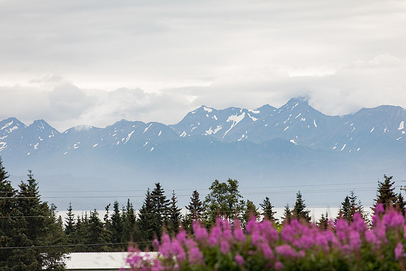 sara_kauss_photography_4954