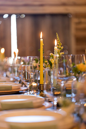 sara_kauss_photography_7131