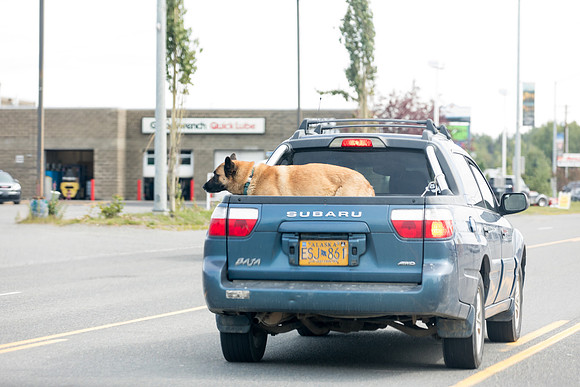 sara_kauss_photography_4208