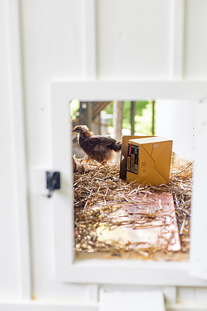 sara-kauss-photography-9762