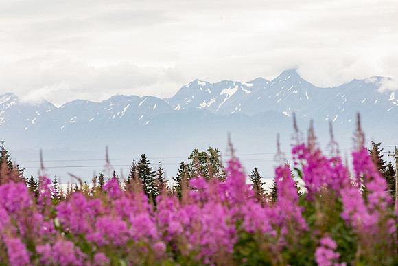 sara_kauss_photography_4973