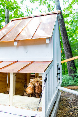 sara_kauss_photography_