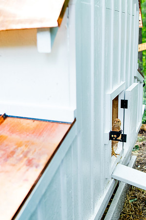 sara_kauss_photography_0080