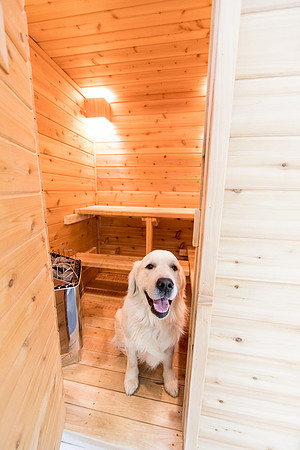 sara-kauss-photography-7241