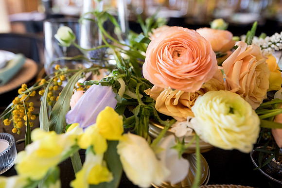 sara_kauss_photography_6957