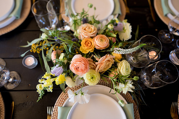 sara_kauss_photography_6984