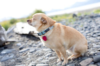 sara_kauss_photography_1739