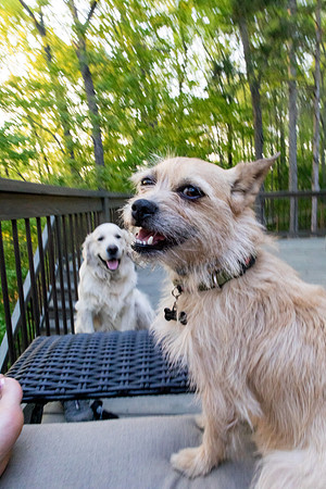 sara-kauss-photography-8801