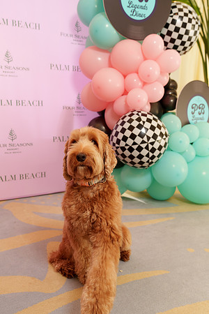 sara_kauss_photography_02863