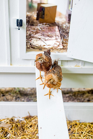 sara-kauss-photography-9766