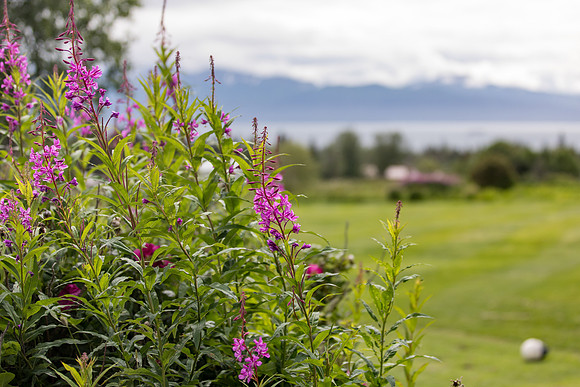 sara_kauss_photography_4887