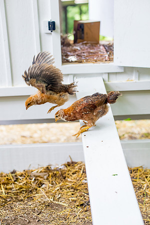 sara-kauss-photography-9771