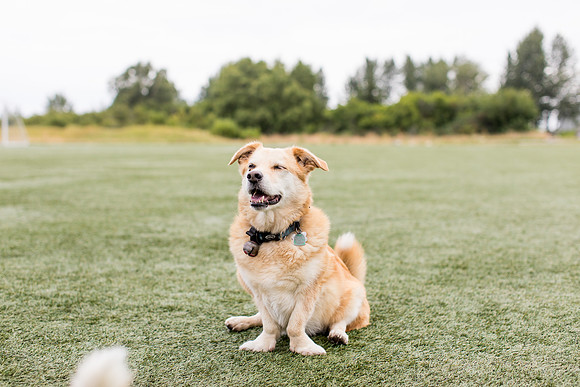sara_kauss_photography_4428