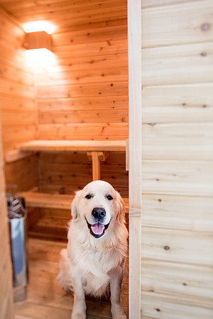 sara-kauss-photography-7247